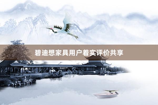 碧迪想家具用户着实评价共享