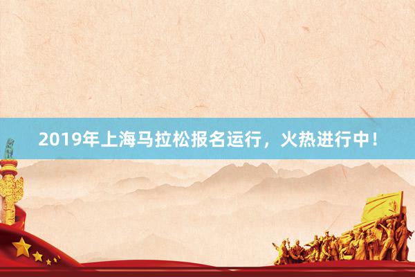 2019年上海马拉松报名运行，火热进行中！