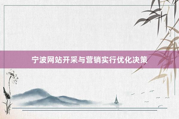 宁波网站开采与营销实行优化决策